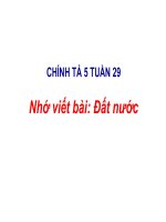 Chinhta5