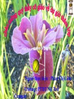 Tiết 7 vật lý 8