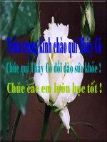 On tap van nghi luan