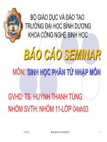 SINH VẬT CHUYỂN GEN- THÀNH TỰU VÀ VIỆC ỨNG DỤNG TRONG THỰC TẾ