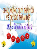 TNXH lop 2 - mot so loai vat song duoi nuoc