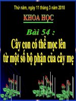 cay con moc..Lop 5 Khoa hoc