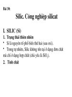 Bài 30: Silic_ Công nghiệp Silicat.