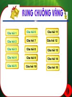 THI RUNG CHUONG VANG K8