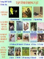 ĐDDH TỰ THIẾT KẾ BÀI 31, 32, 33