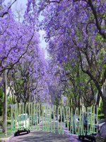 Lt-c: MO RONG VON TU - DUNG CAM