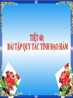 Bai 2. Bai tap cac quy tac tinh dao ham