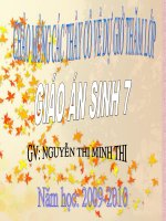 Sự đa dạng của lớp thú