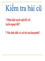 NHDK - Tuyen yen - tuyen giap