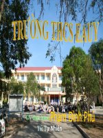 tiến hóa về tổ chức cơ thể