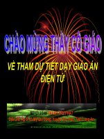 lợi ích của việc trông rau, hoa