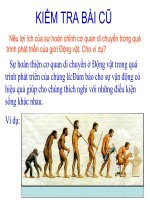 tiet 57 TIEN HOA TO CHUC CO THE