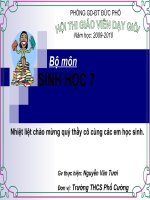 CAU TAO TRONG CA CHEP