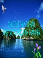 Tiết 56-Mắt cận -mắt lão.