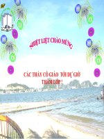 Rô - bin - xơn ngoài đảo hoang