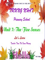Unit 7 The five senses