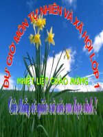 TNXH- Trời nắng, trời mưa - lớp 1