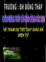 CAT DAN HINH CHU NHAT LOP 1