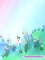 Bài luyện tập 7