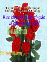 Mở rộng vốn từ: Nghệ thuật dấu phẩy