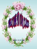 Unit 16 E11 (Hay va nhieu hinh anh)