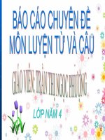 Báo cáo Chuyên đề: Luyện từ và câu