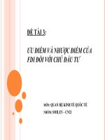 ƯU ĐIỂM VÀ NHƯỢC ĐIỂM CỦA FDI ĐỐI VỚI CHỦ ĐẦU TƯ