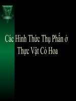 tu thu phan