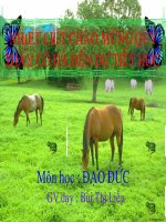 Đạo đức : Bài Bảo vệ loài vật có ích