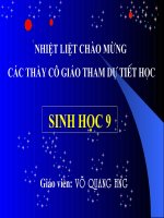 Bai 50. Tiet 52: HE SINH THAI