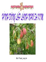 Hình động lấp lánh như sa kim