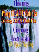 tiết 29 Vi phạm pháp luật