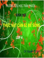 Kkoa 4- Thực vật cần gì để sống ?
