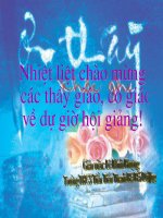 TiÕt 27: Dien tich hình chu nhat (cuc chuan)