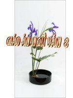 Chu dong dep trang tri bia g.a 6,7,8,9