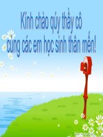 bai 29: cau truc cac loai virut ( hay)