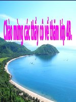 Bài 28: Thành phố Đà Nẵng