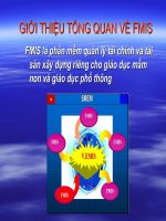 Tổng quan về FMIS_Quản lí Tài sản
