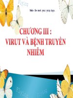 BAI 43. CAU TRUC VIRUT