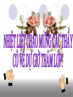 tiết 114 - lao xao tiết 2