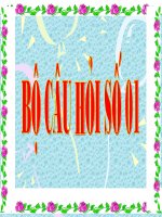 Bộ câu hỏi thi ATGT số 1