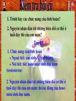 Bài 60 Cơ Quan Sinh Sản