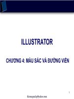 Màu sắc và đường viền
