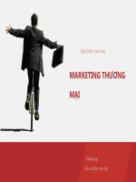 Bài giảng marketing thương mại