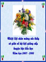 Tiếng Việt: Luyện từ và câu