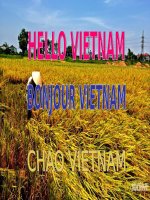 Hello Viet Nam