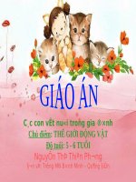 MTXQ: Các con vật nuôi trong gia đình