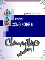 trang tri snha o bang hoa va cay canh