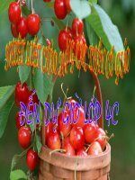 Toán 4 - Dự thi cấp Tỉnh