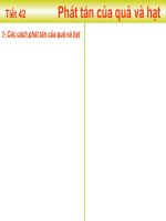 TIẾT 42: PHÁT TÁN CỦA QUẢ  VÀ HẠT